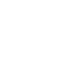 designfleet logo white